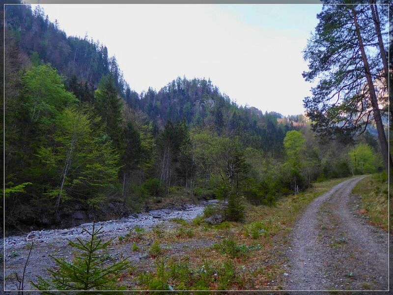 Datei:Gofergrabenbach( 13.04.24 ) 004.jpg