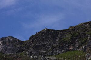 Herzmaierkar 32494 2011-07-06.jpg