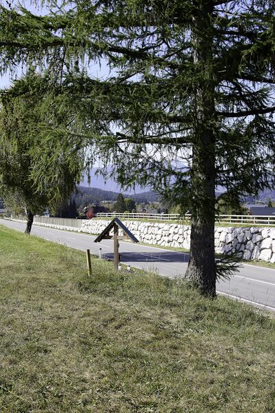 Datei:MA salzkammergutstr Bad M-0411-2023-10-13.jpg