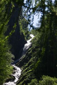 Oberalmbach kleinsölk 4937 13-06-20.jpg