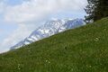 Rantensteinalm-0099-2023-05-27.jpg