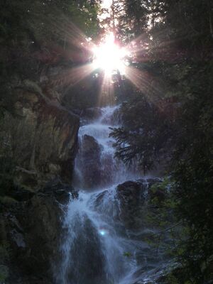 Spraderbach 1798 2006-06-12.jpg