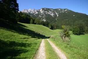 Stallbauer rössing 98980 2015-08-26.jpg