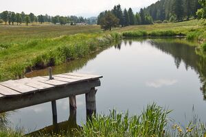 Sternenplatz ramsau-0043-2025-06-09.jpg