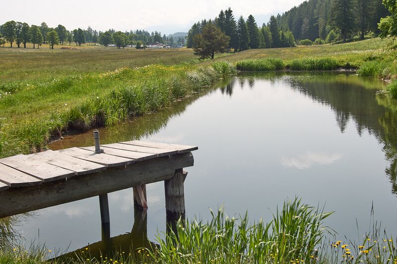 Datei:Sternenplatz ramsau-0043-2025-06-09.jpg