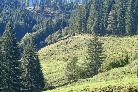 Stockingeralm reiflingviertel-0040-2025-09-15.jpg