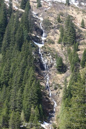 Strickerkar 55626 2014-05-02.jpg