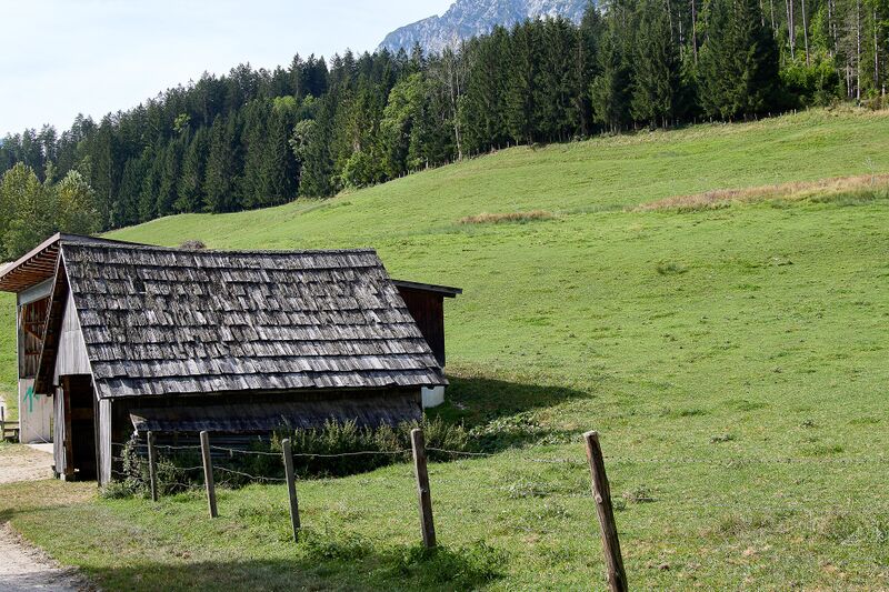 Datei:Vlg. Schörkmaier gröbming-0214-2023-08-27.jpg