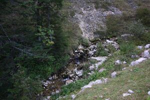 Zauchen ursprung tauplitz 34639 2016-09-26.jpg