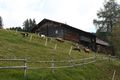 Aigneralm fastenberg 01188 2015-09-10.jpg