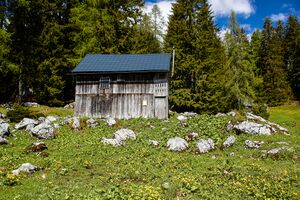 Ausseer Teltschenalm-113-2020-05-27.jpg