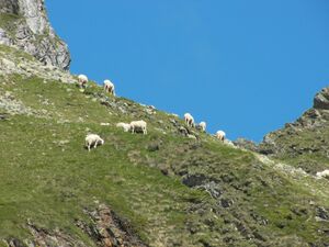 Duisitzkar 15935 2006-07-03.jpg