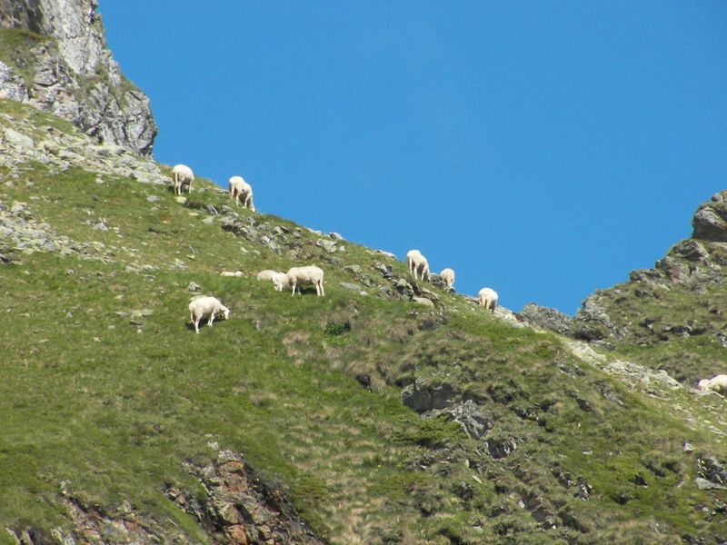 Datei:Duisitzkar 15935 2006-07-03.jpg