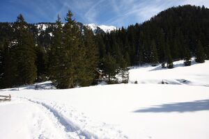 Englitztal 43721 2014-02-26.jpg