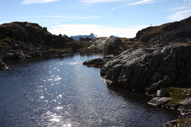 Datei:Goldlacken 0338 2013-10-08.jpg