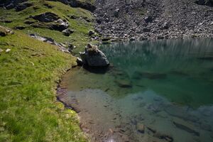 Grubersee planaiHW 0833 2011-08-11.jpg