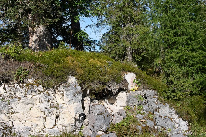 Datei:Gsprangalm Straßen-BA-0080-2023-09-17.jpg