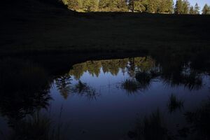 Gumpenkar 53243 2017-07-05.jpg