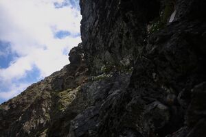 Herzmaierkar 32562 2011-07-06.jpg