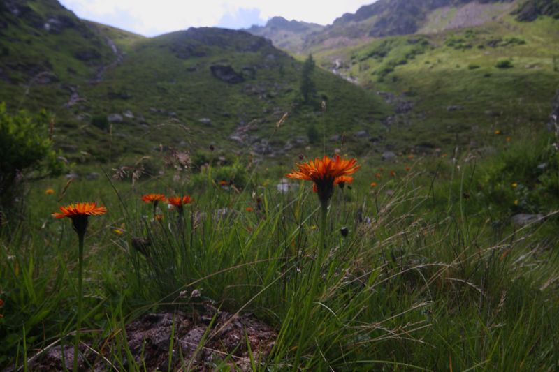 Datei:Herzmaierkar 32601 2011-07-06.jpg