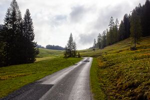 Hintereggalm-0355-2022-05-18.jpg