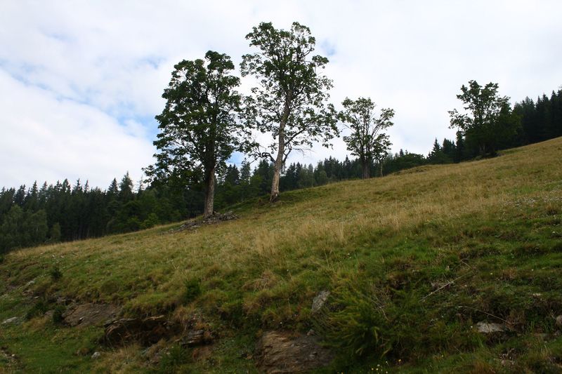 Datei:Hinterer krahberger 02402 2015-09-10.jpg