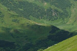 Mößnakar 1320 13-07-12.jpg