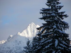 Placken 46519 2006-01-07.jpg