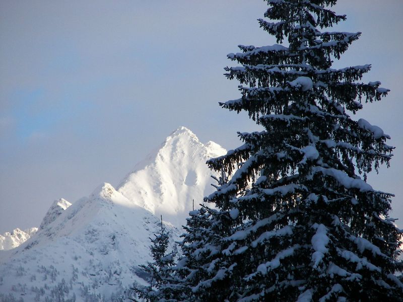 Datei:Placken 46519 2006-01-07.jpg