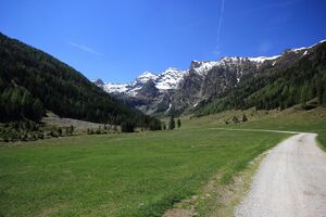 Sattental 45829 2017-05-19.jpg