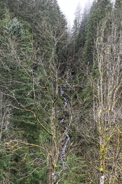 Datei:Schmiedberggraben mittereggtal 63426 2017-11-02.jpg