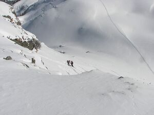 Wildkar 2627 2007-03-11.jpg