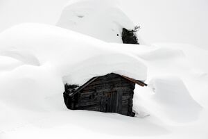 Beim landauersee 46822 2006-02-25.jpg