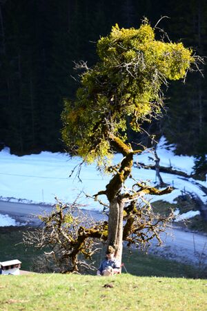 Die Seele baumeln lassen.jpg