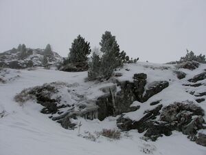 Gamsfeld pietrach 48004 2007-02-01.jpg