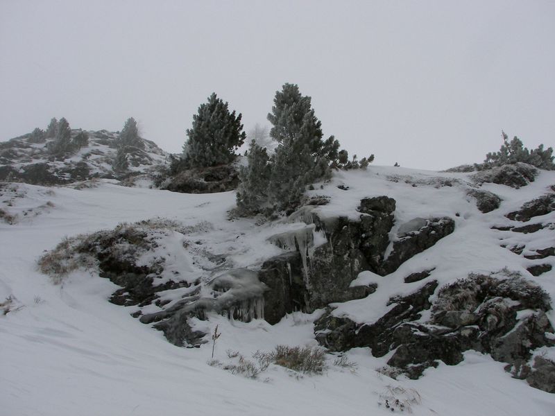 Datei:Gamsfeld pietrach 48004 2007-02-01.jpg