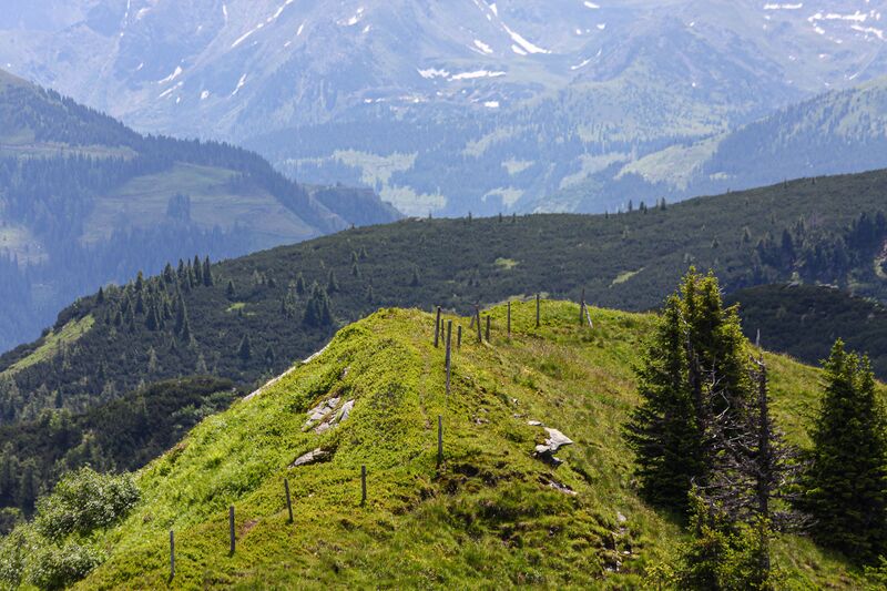 Datei:Gehag karlspitz walchen-1000-2014-07-01.jpg