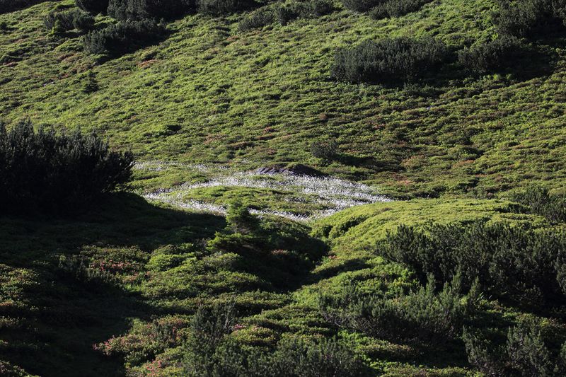 Datei:Gumpenkar 53221 2017-07-05.jpg