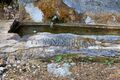 Hörndlbründl Aicherlsteinweg-173-2026-05-19.jpg