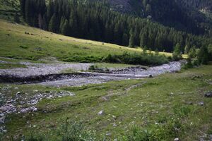 Strieglerbach 44719 2013-07-13.jpg