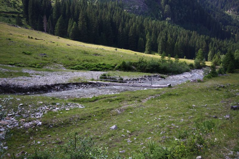 Datei:Strieglerbach 44719 2013-07-13.jpg