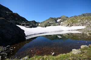 Törlsee 3537 2008-07-16.jpg
