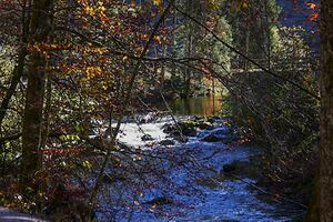 Toplitzbach 77677 2014-11-03.jpg