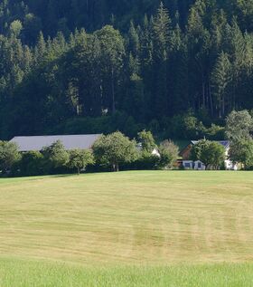 Vlg Hagauer breitau-0160-2025-06-18.jpg