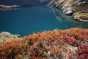 Wildsee-weißpriach 0773 2013-10-03.jpg