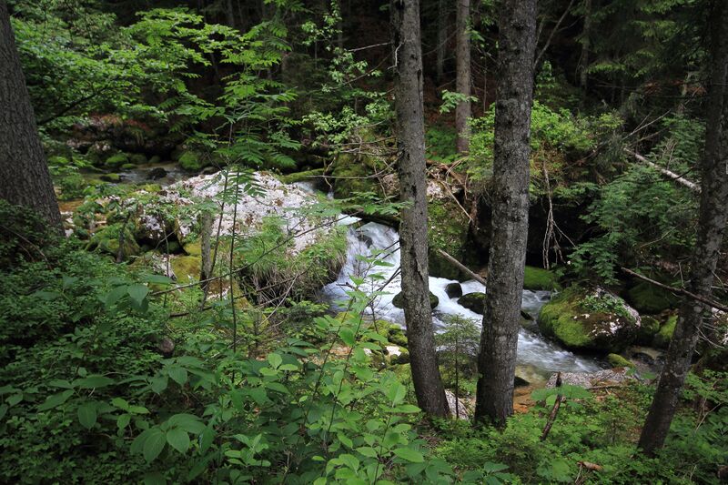 Datei:Zimitzbach grundlsee 77305 2018-06-04.jpg