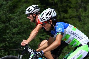 Alpentourtrophy 2014 60195 2014-06-12.jpg