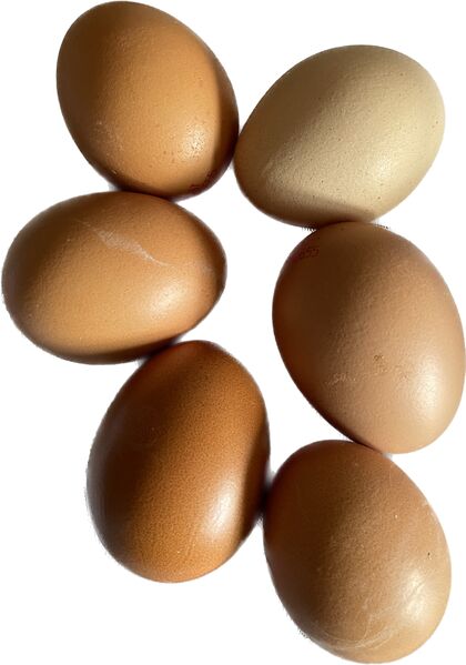 Datei:Eier-landgut putterer.jpg