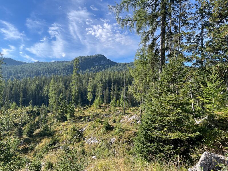 Datei:Elendwald bad aussee-10-2023-09-17.jpg