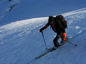 Engelkarspitze 46613 2006-01-30.jpg
